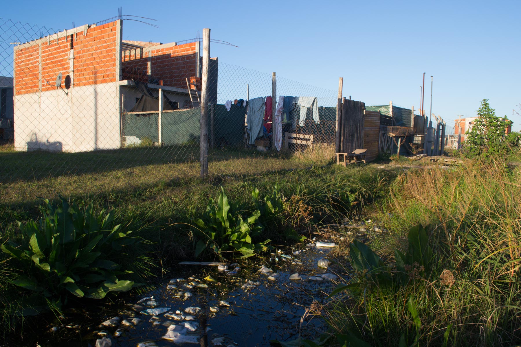 El agua en 3 de cada 4 casas del barrio Savoia, en City Bell, está contaminada. (Foto Alejandro Palladino)